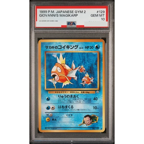 Giovanni's Magikarp : Old Back — front