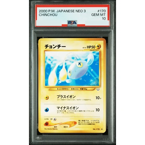 Chinchou : Old Back — front