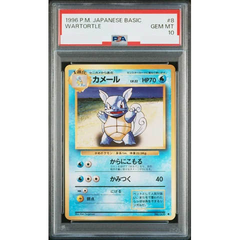 Wartortle : Old Back — front