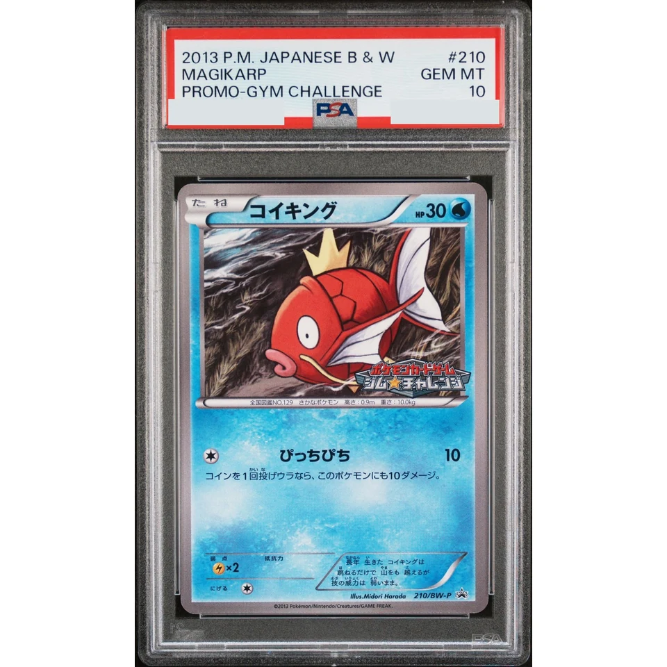 Magikarp P — front