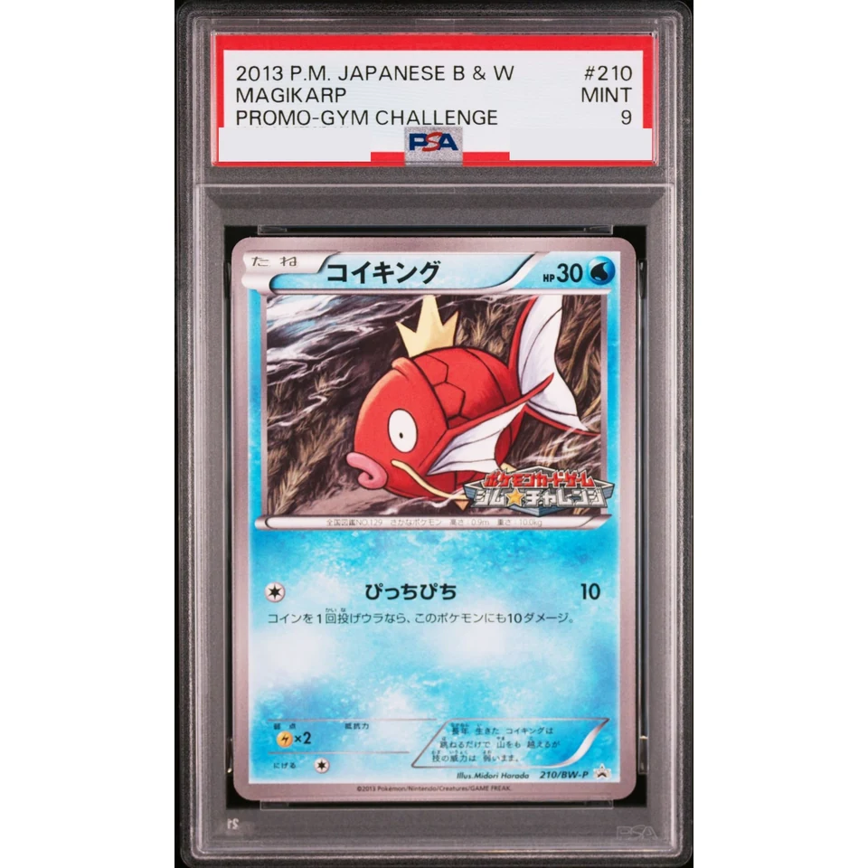 Magikarp P — front