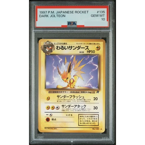 Dark Jolteon : Old Back — front