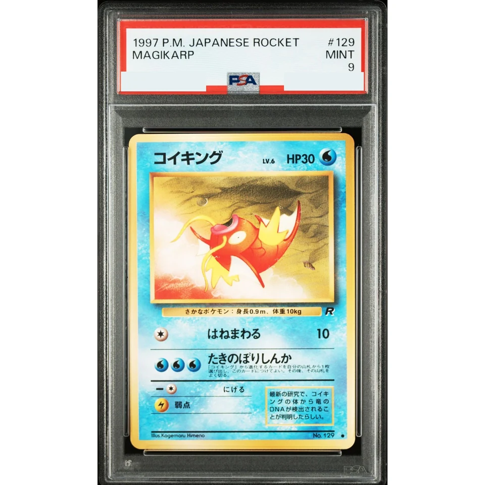 Magikarp : Old Back — front