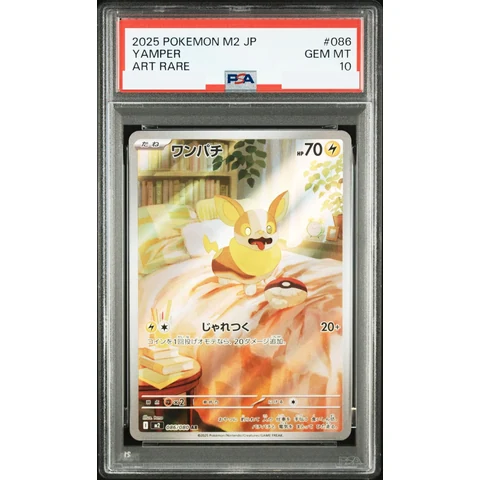 Yamper AR — front