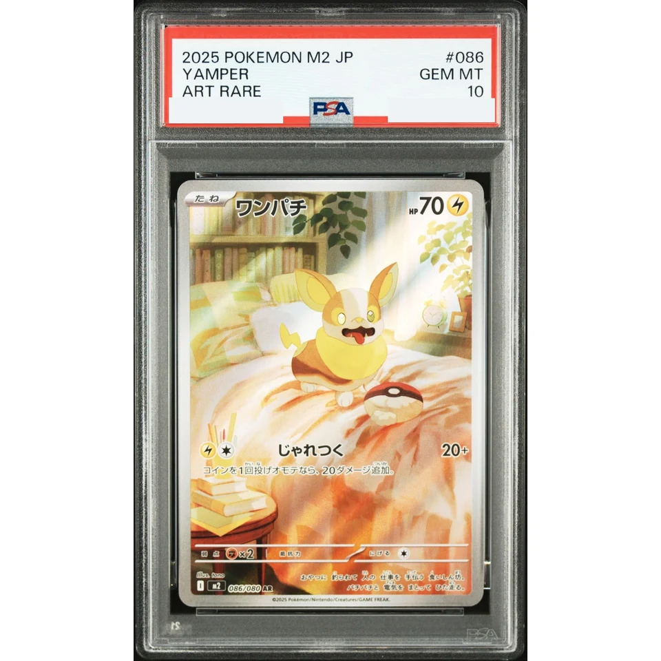 Yamper AR — front