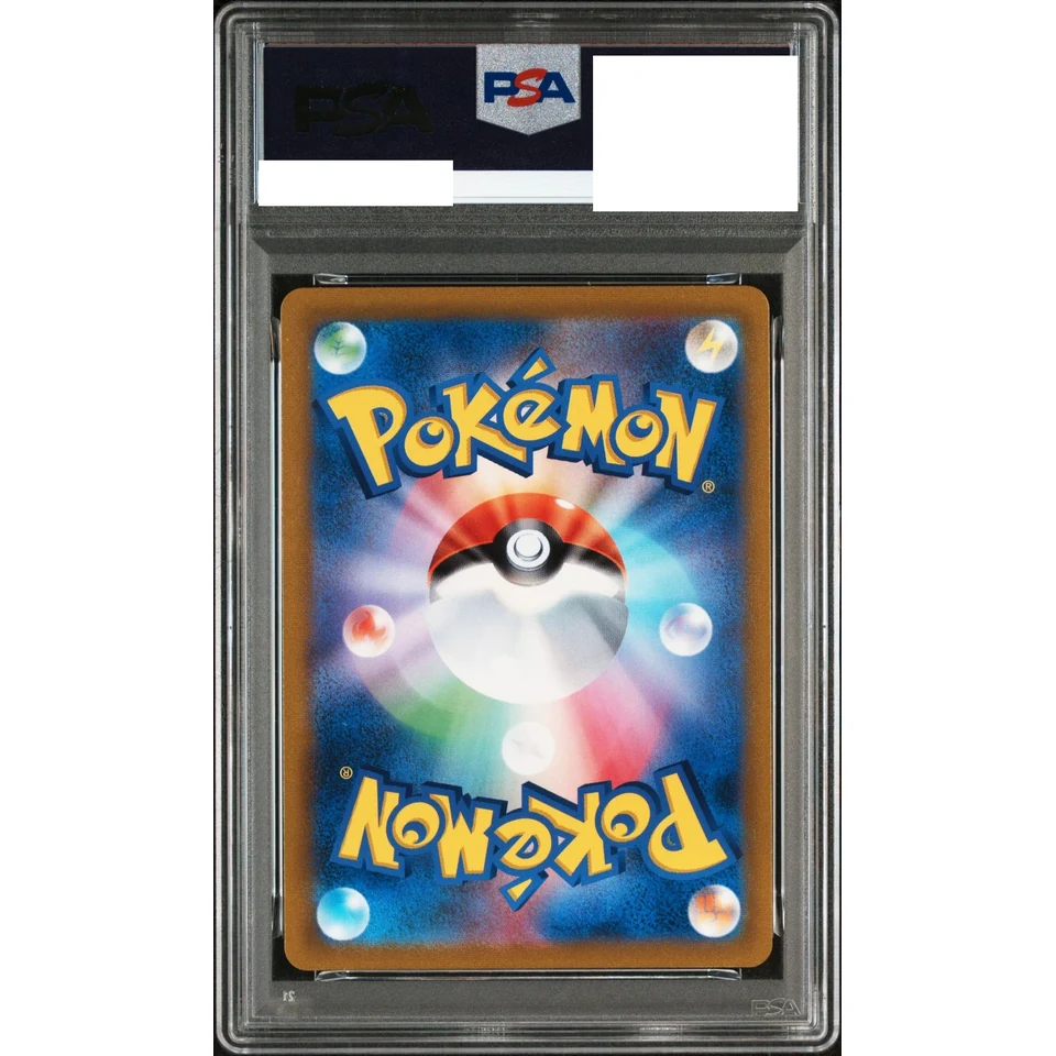 Nessa SR — back