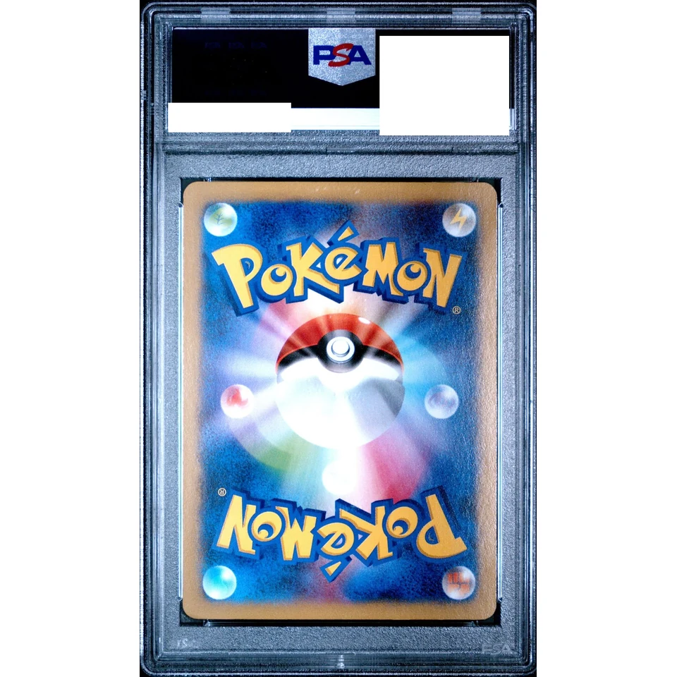 Yveltal P — back