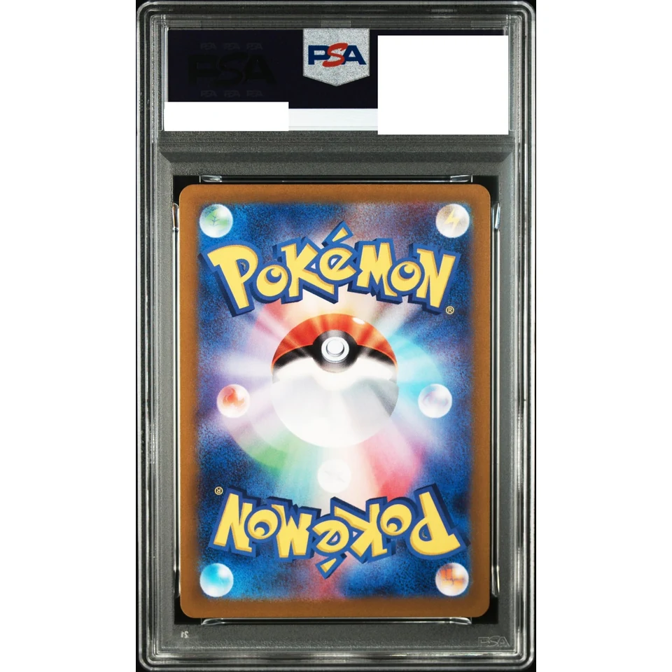 Minccino AR — back